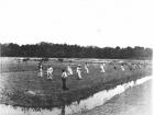 Field of Dreams: In antebellum times, Mansfield operated as a very successful rice plantation. The rice was planted by hand along the tidal banks of the Black River. In the 1850s and 1860s, Mansfield records cite the names of 125 slaves who lived and worked there.