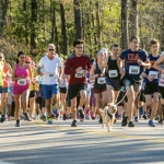dragon boat festival 2018 myrtle beach myrtle beach sc currents myrtle beach sc grand dragon boat festival 2018 myrtle beach myrtle beach sc currents myrtle beach sc grand