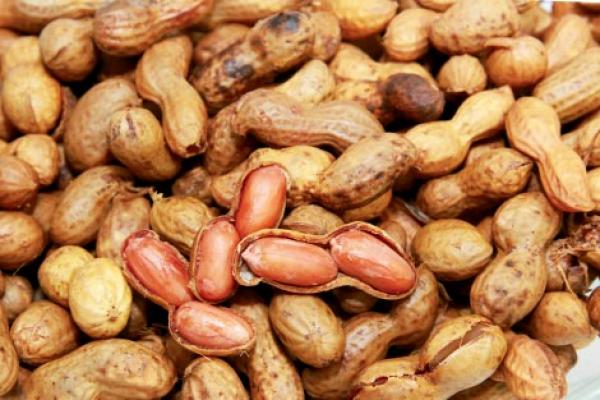Where To Buy Boiled Peanuts In Myrtle Beach Where To Buy Boiled Peanuts In Myrtle Beach