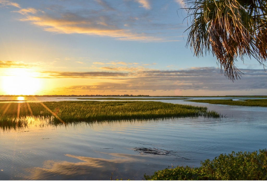 Images of the Grand Strand 2018 Grand Strand Magazine