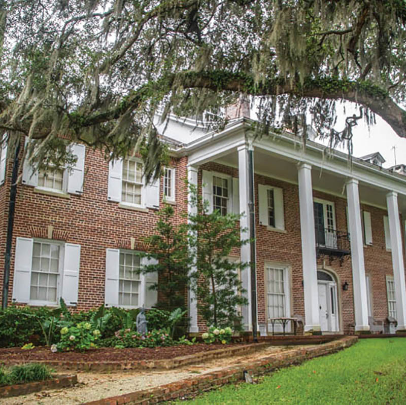 Living Laboratory The Past and Present of Hobcaw Barony