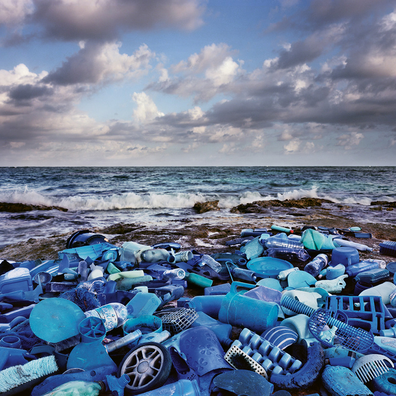 Ocean Plastic Pollution Transforms into Art in Myrtle Beach Exhibit