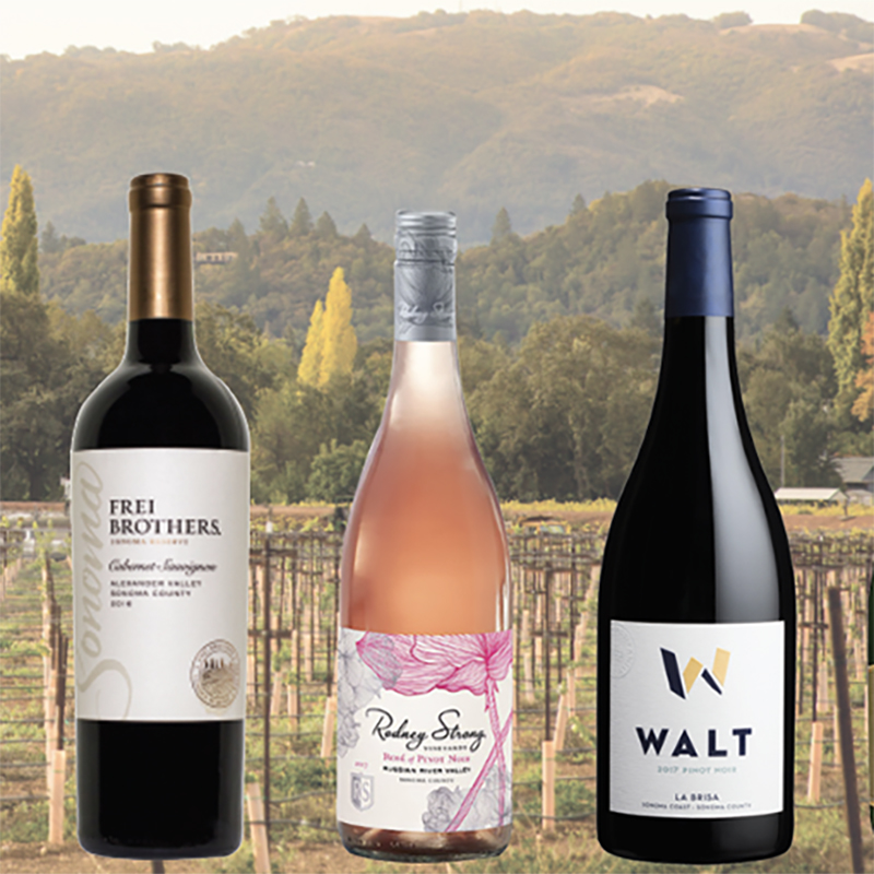 5 Wines from Sonoma You Have to Try Myrtle Beach, SC Grand Strand