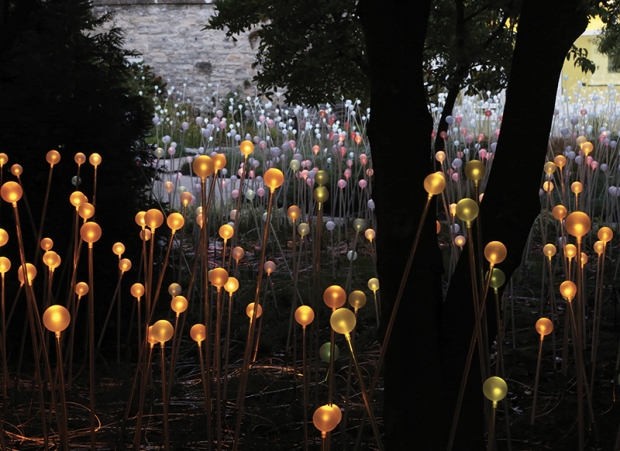 Botanical garden atlanta coupon