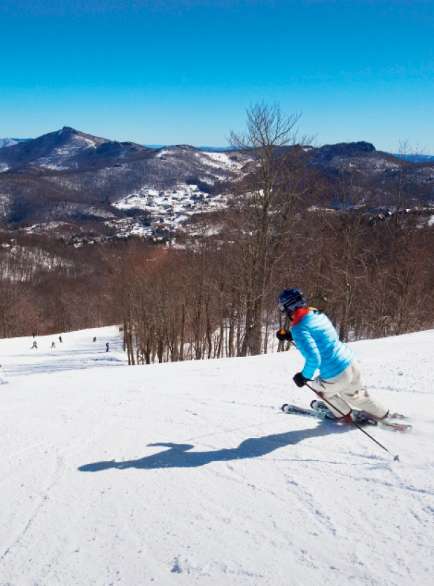 Hit The Slopes Myrtle Beach Sc