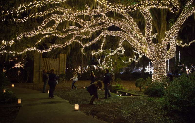 “Every inch of a live oak tree is lit in an area of the Sculpture Garden.