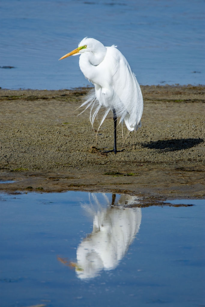 Paul Lieck of P&amp;D Photography, Myrtle Beach