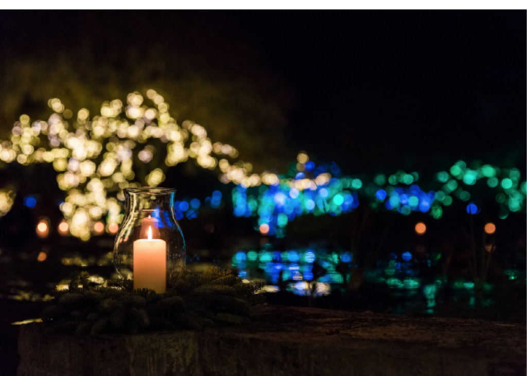 Candlelight by Ben Coy, Brookegreen Gardens, Murrells Inlet