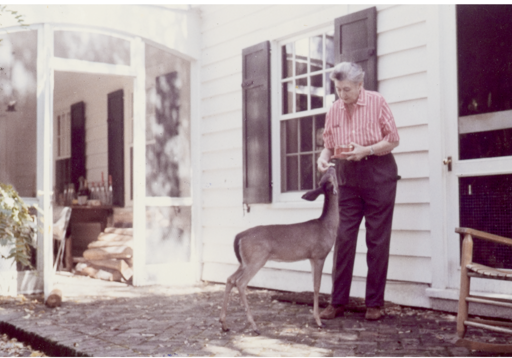 Belle with her pet Deary-Deer in 1963; the fawn had full run of the house and property at Bellefield Plantation, Belle’s home on Hobcaw Barony.