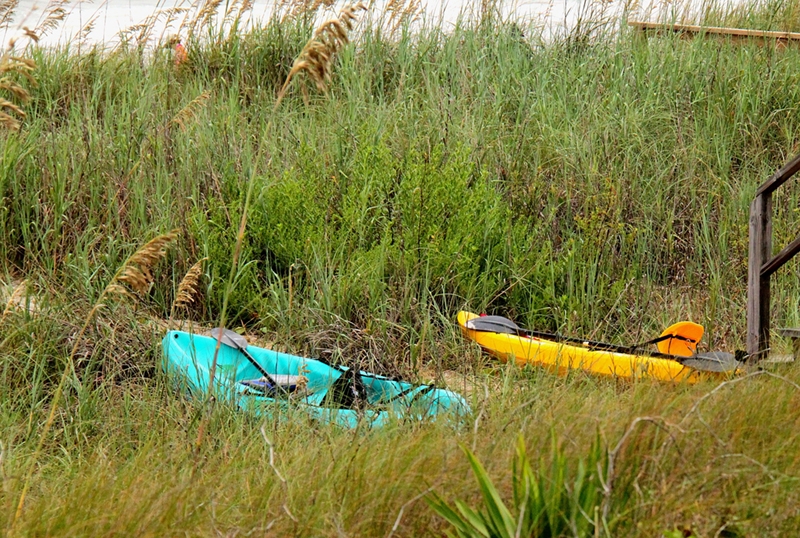 Austin Bond, &quot;Kayaks&quot;