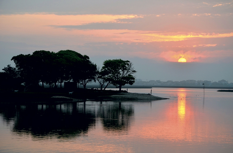 Austin Bond, &quot;Marsh Walk Sunrise&quot;