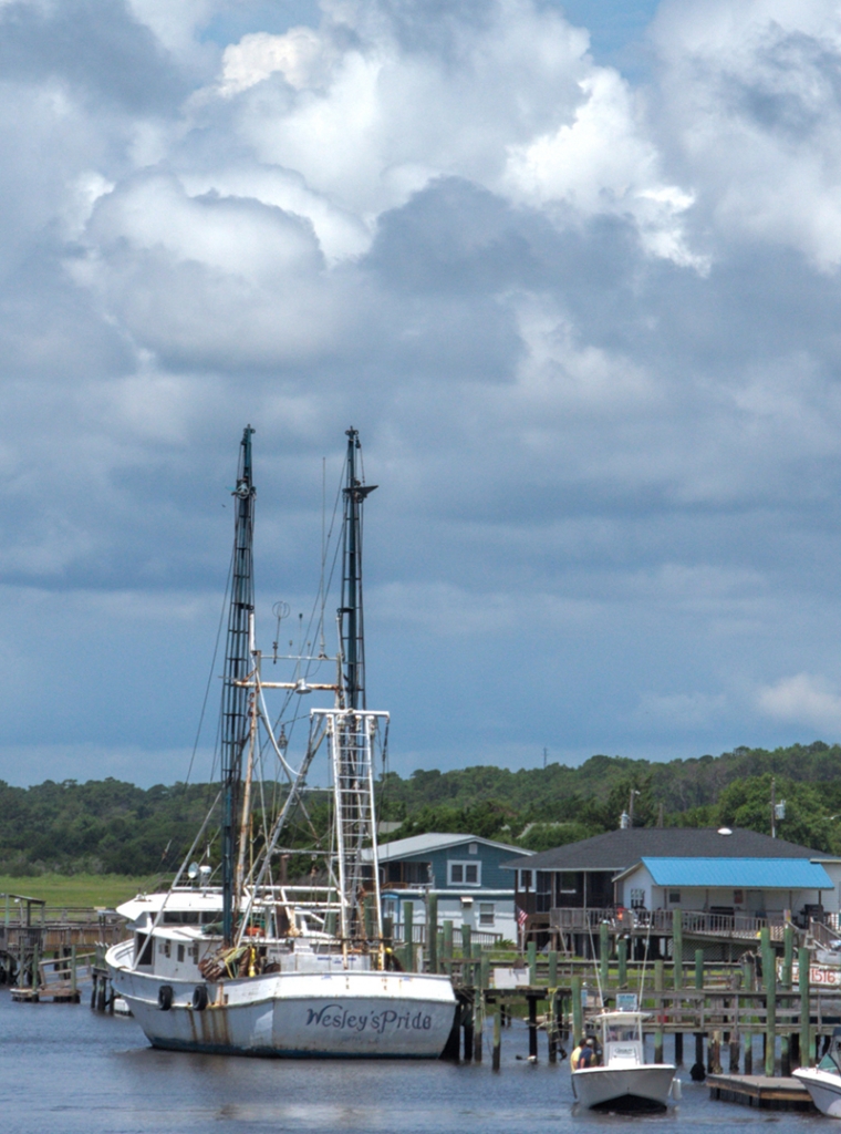 Anne Pendred, &quot;Holden Beach Beauty&quot;