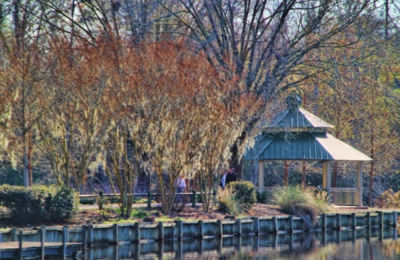 Anne Pendred, &quot;Riverwalk&quot;