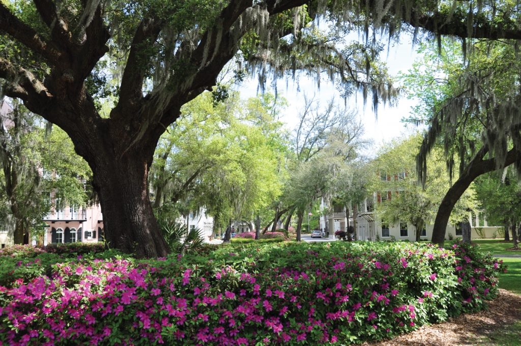 One of the many unique communities in Beaufort is Habersham, a charming Southern village.