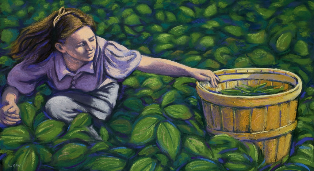 Picking Green Beans, Brian Kuehn