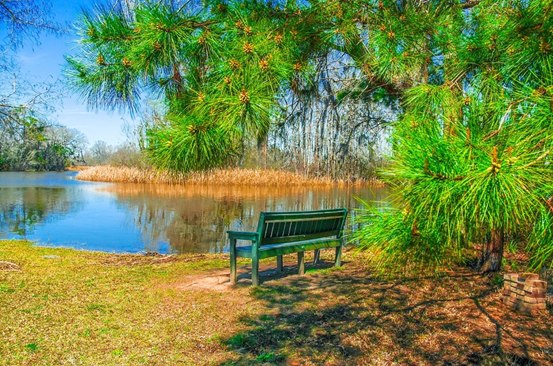 Ed Roberts, &quot;Serenity Bench&quot;