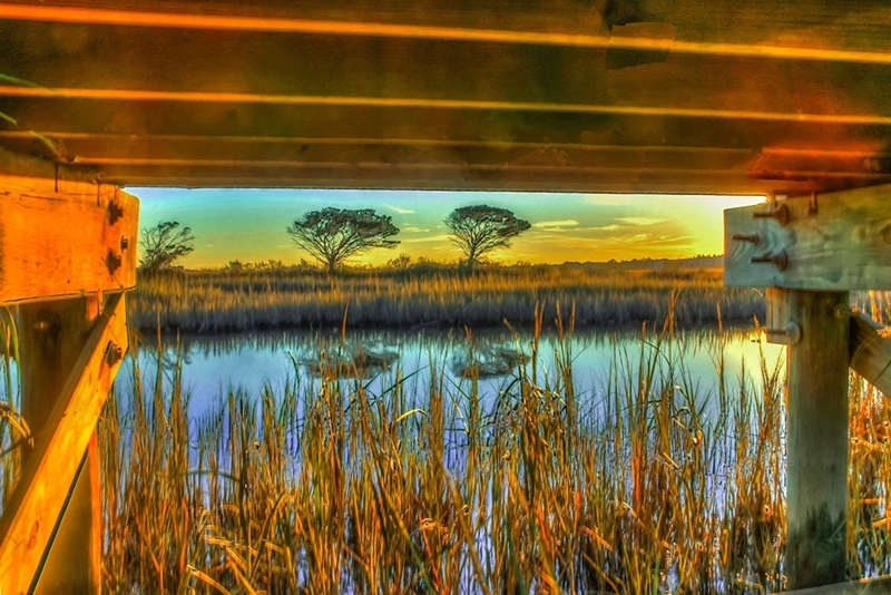 Ed Roberts, &quot;Under The Boardwalk&quot;