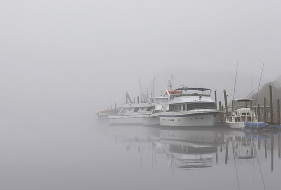 Fade into the Fog - Michelle Tinger, Waterfront of Calabash, N.C.