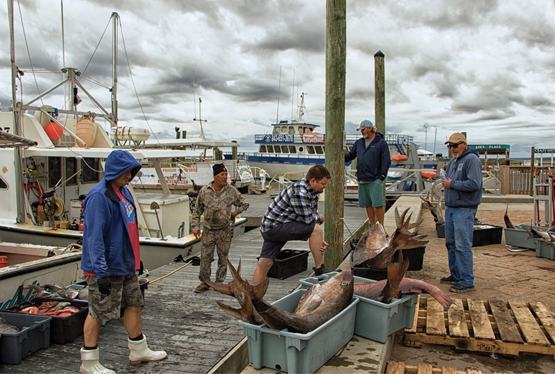 Commercial Fishermen of Murrells Inlet - Jacqueline Ginther Crazy Sister Marina, Murrells Inlet