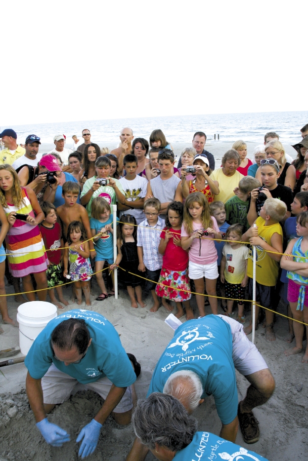 In 2011, the North Myrtle Beach Sea Turtle Patrol located and protected 18 nests in the city limits, and three additional nests were found in Briarcliffe Acres.