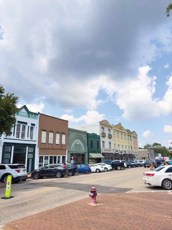 The City of Georgetown’s popular downtown boasts numerous locally owned businesses that will continue to reap the rewards of tourism dollars from revitalization efforts.