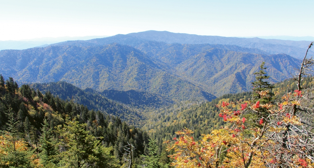 Great Smoky Mountains National Park offers hiking at any level on hundreds of trails.