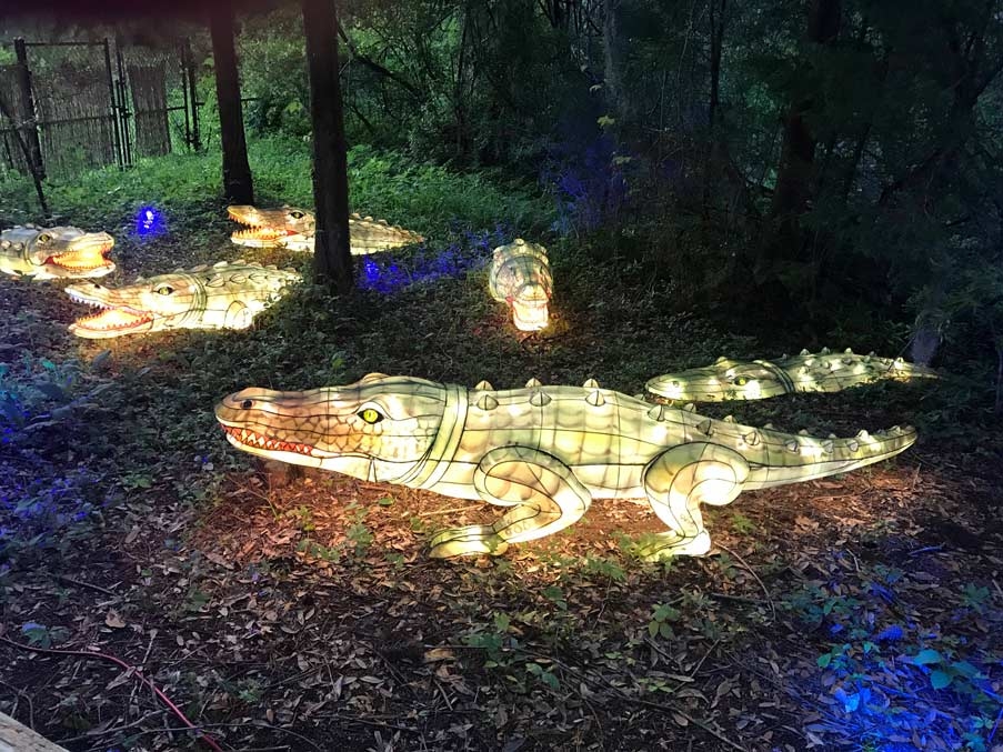 a summer home myrtle beach