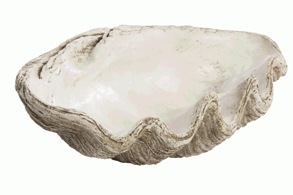 She Sells Seashells  Shrimp, seafood, cold beverages—whatever tickles your fancy can be thrown in this giant clam shell and surely be a hit at whatever soiree you are hosting.  $149. CHD Interiors, 1088 Mall DrIVE, Murrells Inlet.  (843) 357-1700