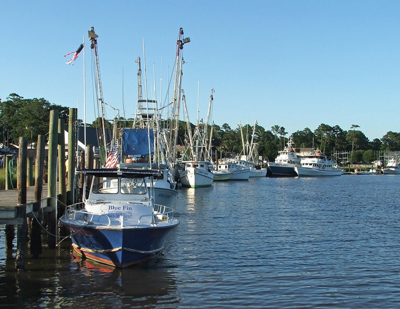 Joe Hamel, &quot;Calabash Fleet&quot;