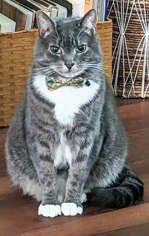 JIJI - Beatrice Norris