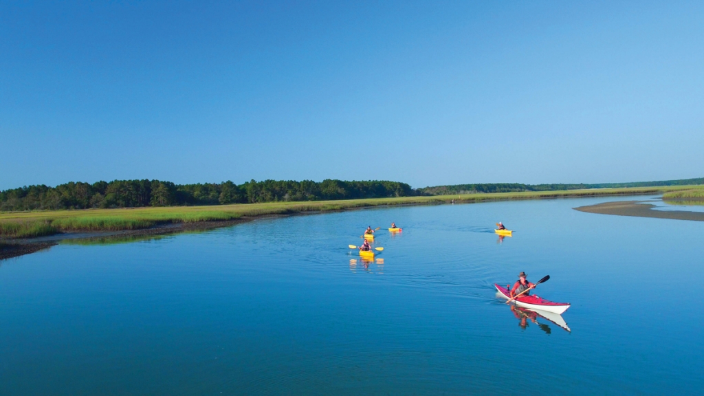 Kayaking the creeks and marshes of the Grand Strand.