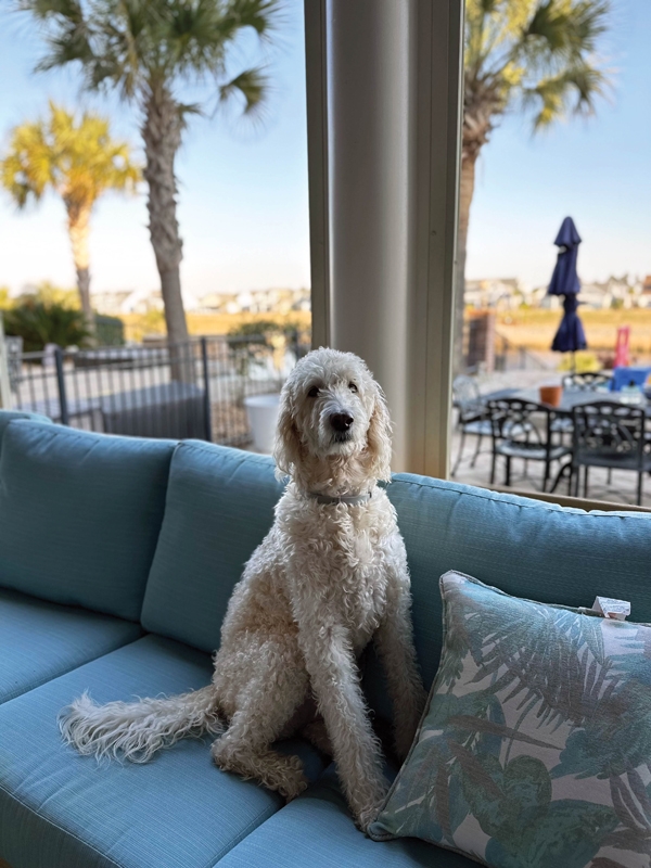 MADDIE - Marilyn Tupis