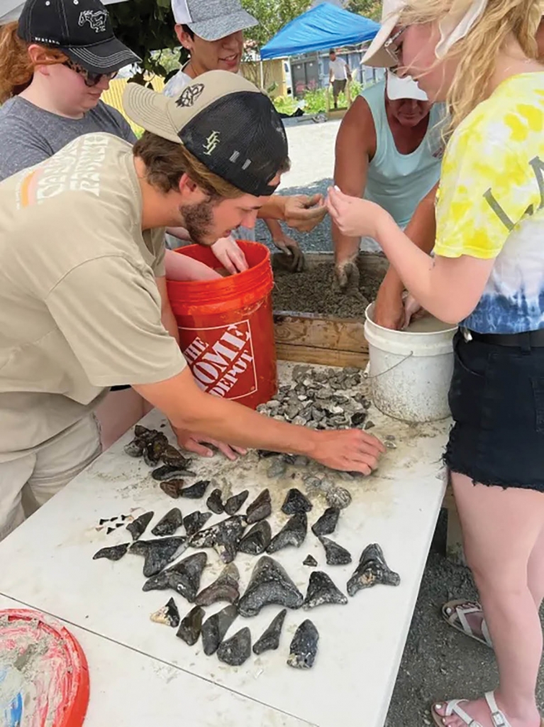 customers sort through their finds from Myrtle Beach Shark Tooth Adventures, which offers seven tiers of buckets – or digs – to sift through, allowing their customers to find a variety of fossils, shark teeth, and more.