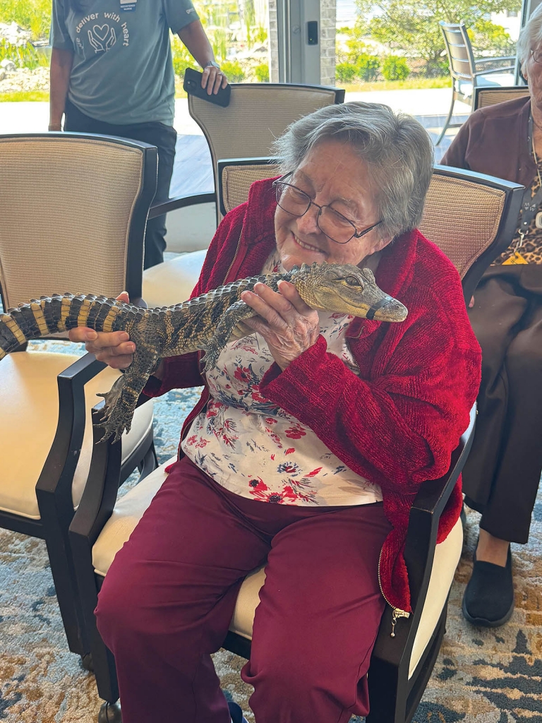 A resident at Watercrest Senior Living in Myrtle Beach, cuddles Chubbs, a four-year-old American Alligator. Out of the Ark makes many visits to area Senior centers. Photo courtesy of Watercrest Senior Living.