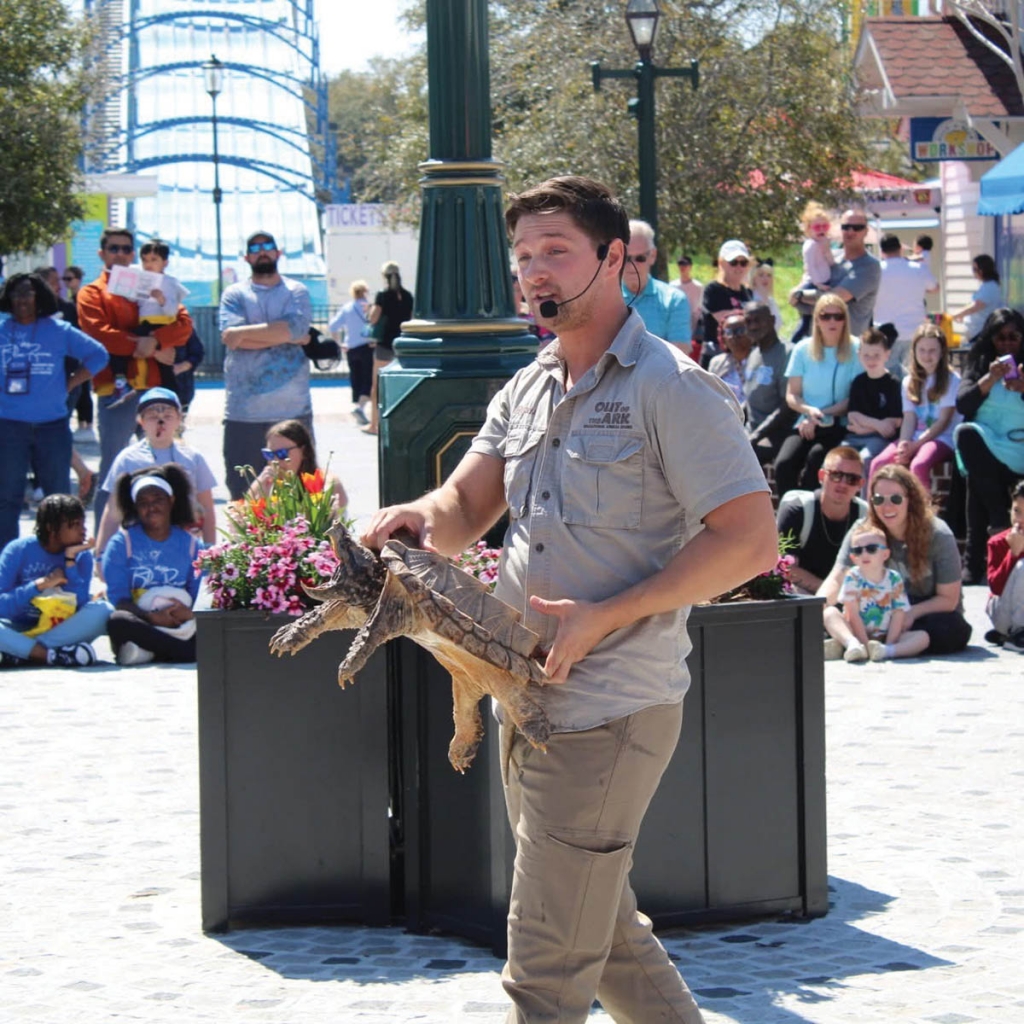 Photo courtesy of Out of the Ark.