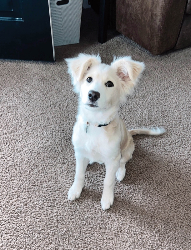 OPAL - Makayla Marshall