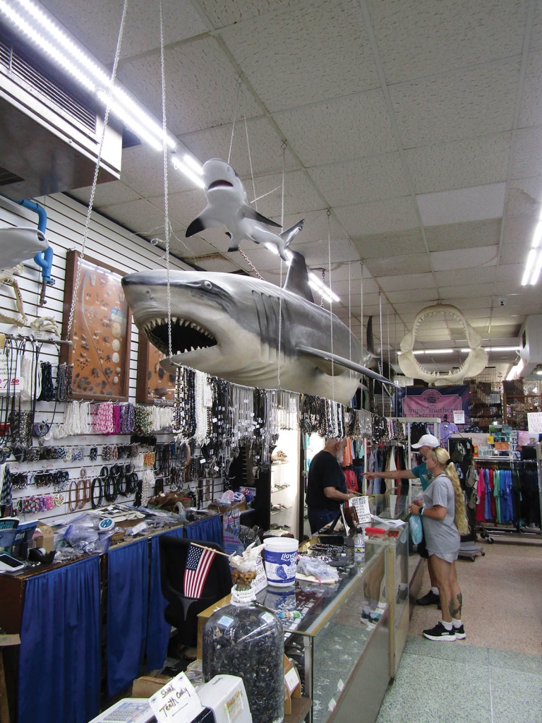 Gay Dolphin Gift Cove in Myrtle Beach