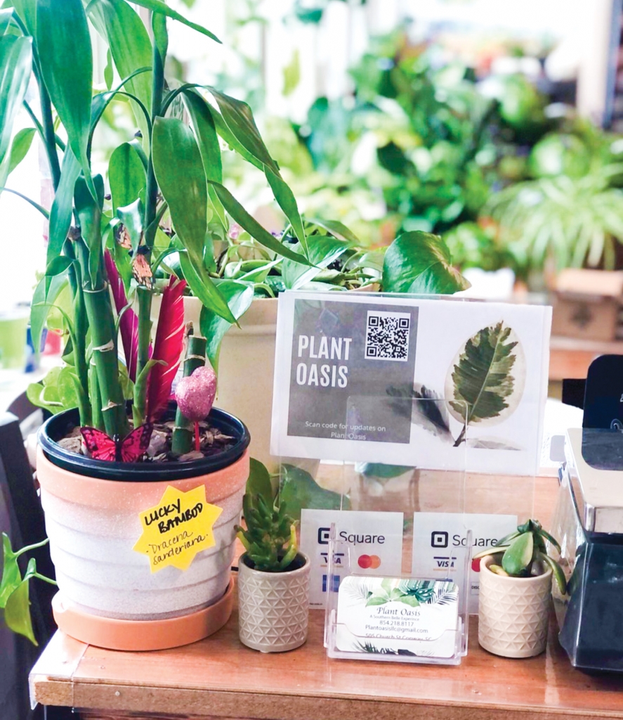Since May, Belle Gathers has operated the Plant Oasis house plant shop. Clients can purchase from an assortment provided by a private vendor, or they can purchase a luxury “Belle Original” plant, which is organic, hand-potted, and planted by Gathers.