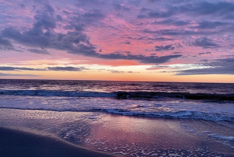 Readers’ Choice WINNER! - Purple Dawn, Shutter Up Photography Garden City Beach
