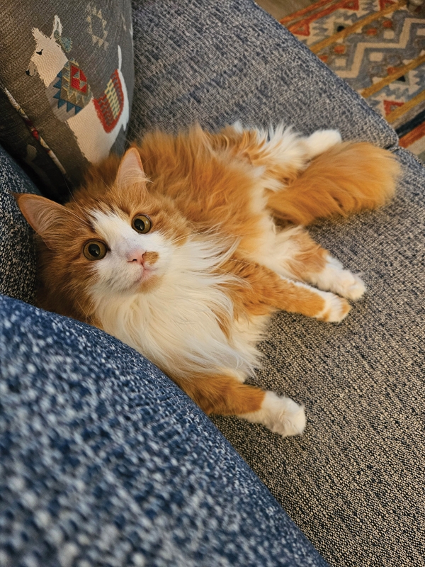 Rusty