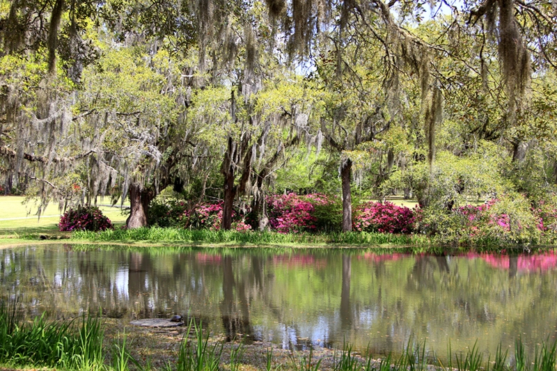 Sandra Blood, &quot;Brookgreen Reflections&quot;