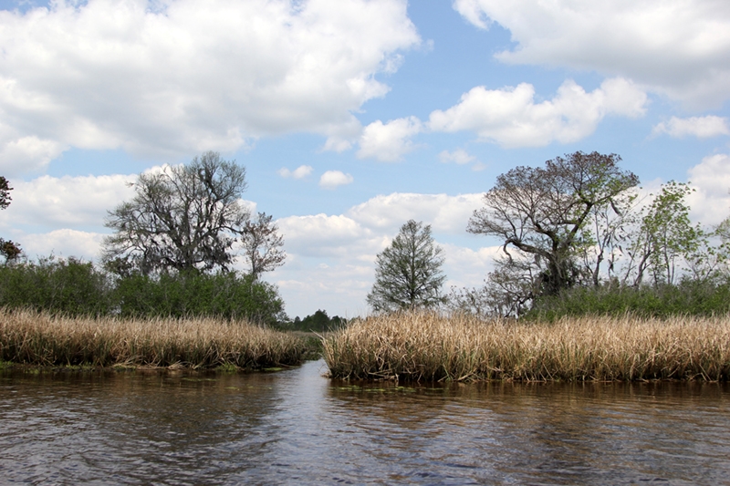 Sandra Blood, &quot;The Old Rice Plantation&quot;