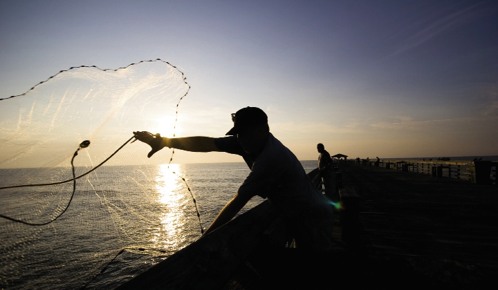 An early morning fisherman throws a cast net with practiced efficiency. Small bait fish often congregate near the pier’s pilings, and fisherman up top often stay sunrise to sunset.