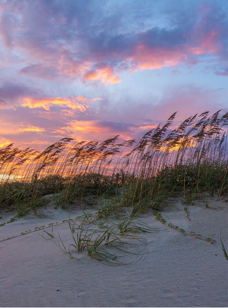 Sea Oat Sunset - Charles Lawhon Myrtle Beach State Park