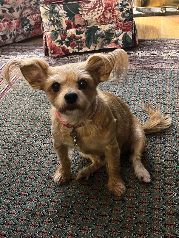 Suzie