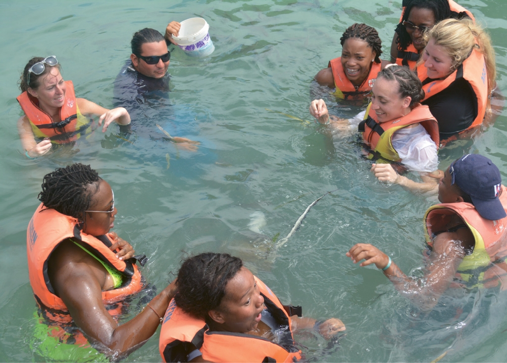Several players and coaches bravely swim with fish and baby stingrays
