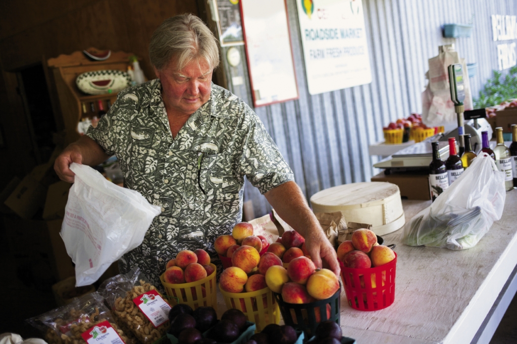 Bellamy Farms: Lyles Bellamy, the owner of the certified Century Farm, Bellamy Farms, hand selects a basket of peaches for a customer.
