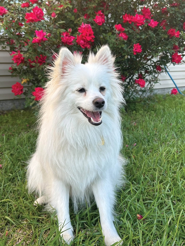 Zeus