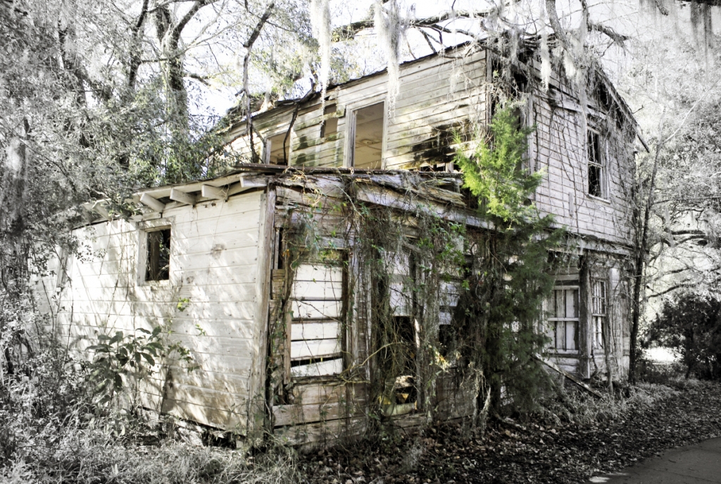 Abandoned: The skeletons of the past and evidence of nature’s fury can be found along the roadsides. In the small town of McClellanville, an old abandoned home is slowly reclaimed by nature.
