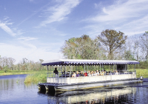 The Creek Excursion provides a relaxing way to view all of the sights at Brookgreen.
